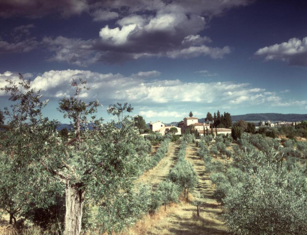 Il Borghetto Country Inn San Casciano in Val di Pesa Buitenkant foto