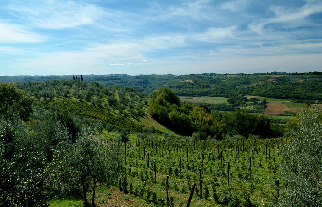 Il Borghetto Country Inn San Casciano in Val di Pesa Buitenkant foto