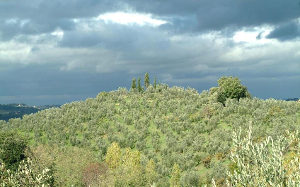 Il Borghetto Country Inn San Casciano in Val di Pesa Buitenkant foto