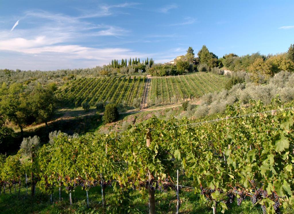 Il Borghetto Country Inn San Casciano in Val di Pesa Buitenkant foto